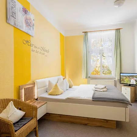 Schmidt 3* شيارك